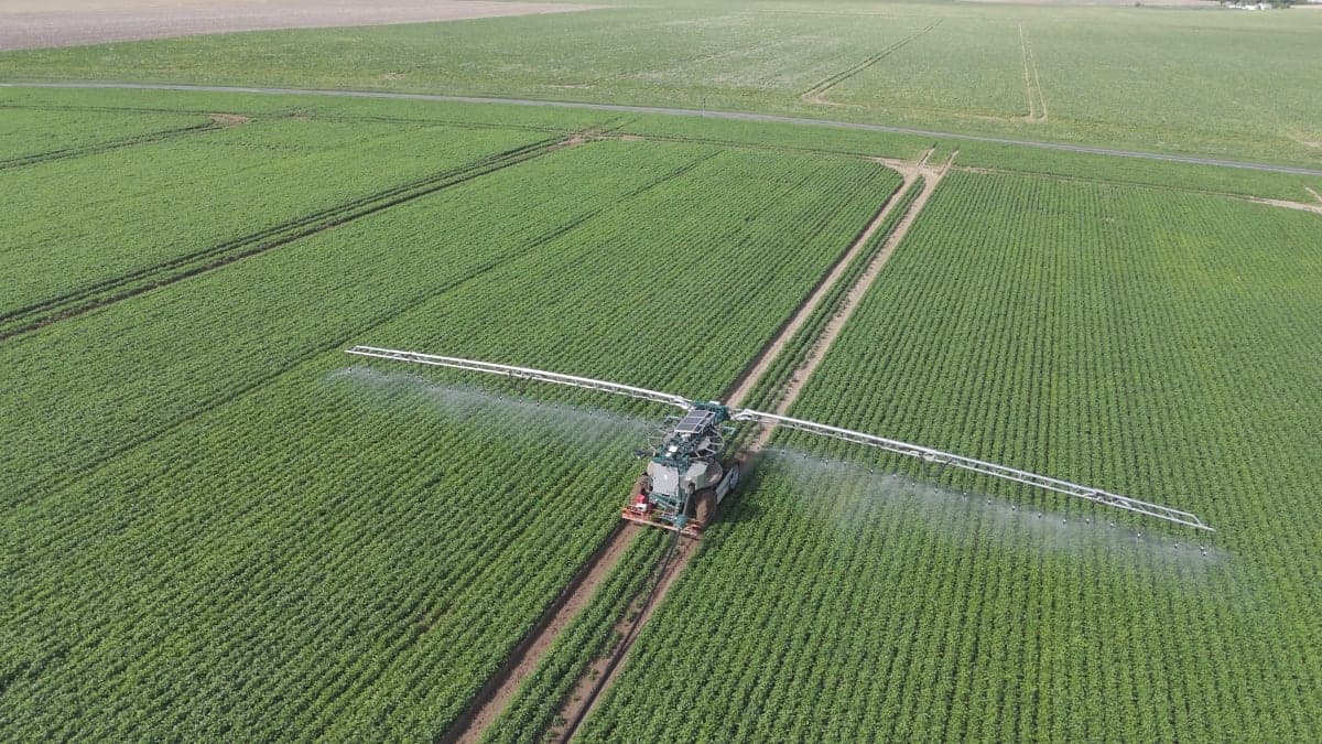 Oscar Robot 2025 - Vue 4